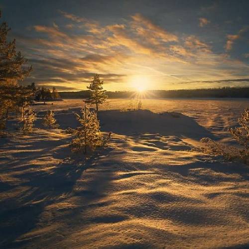 خیلی وقته دلم گرفته از روزگار خیلی وقته شدم خزون و بی برگ و باد